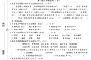 电子版语文五年级上册期末-真题