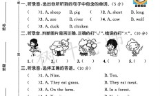 冀教版英语三年级下册期中卷