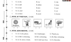 外研版英语六年级下册期中卷-素养评估
