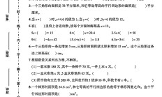 人教版数学五年级上册月考卷-第二次