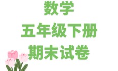 苏教版数学五年级下册期末卷-3