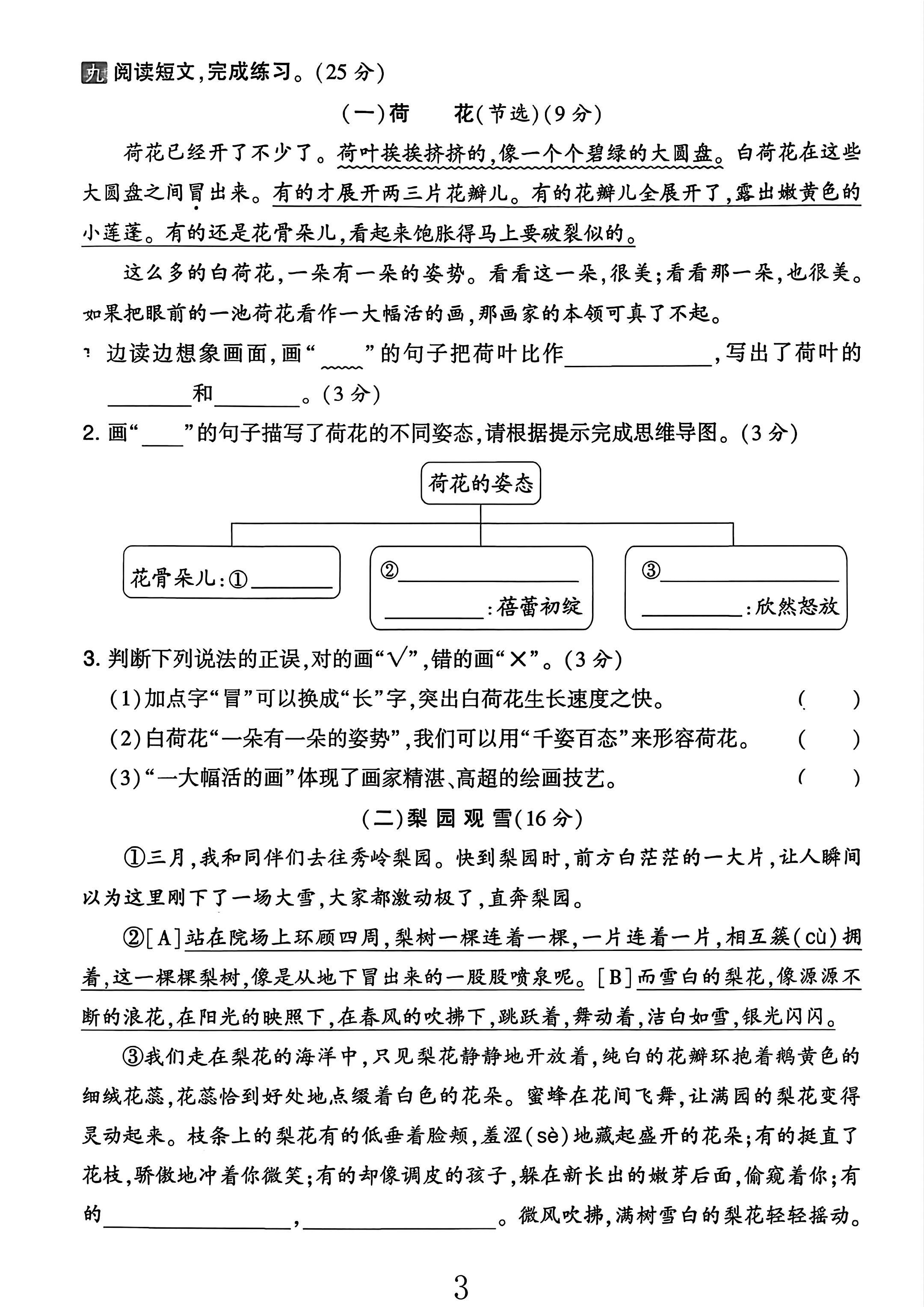 试卷