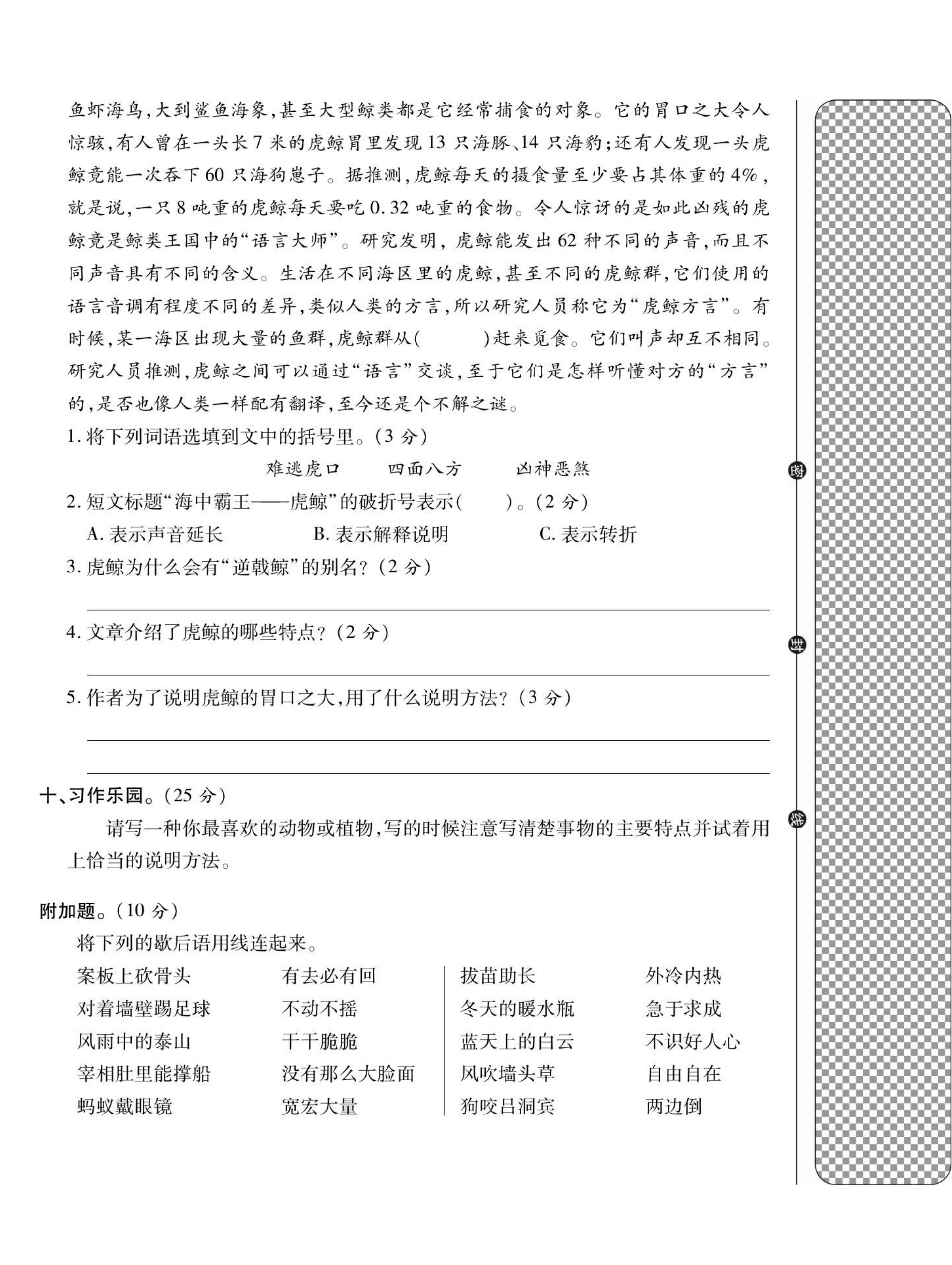 试卷