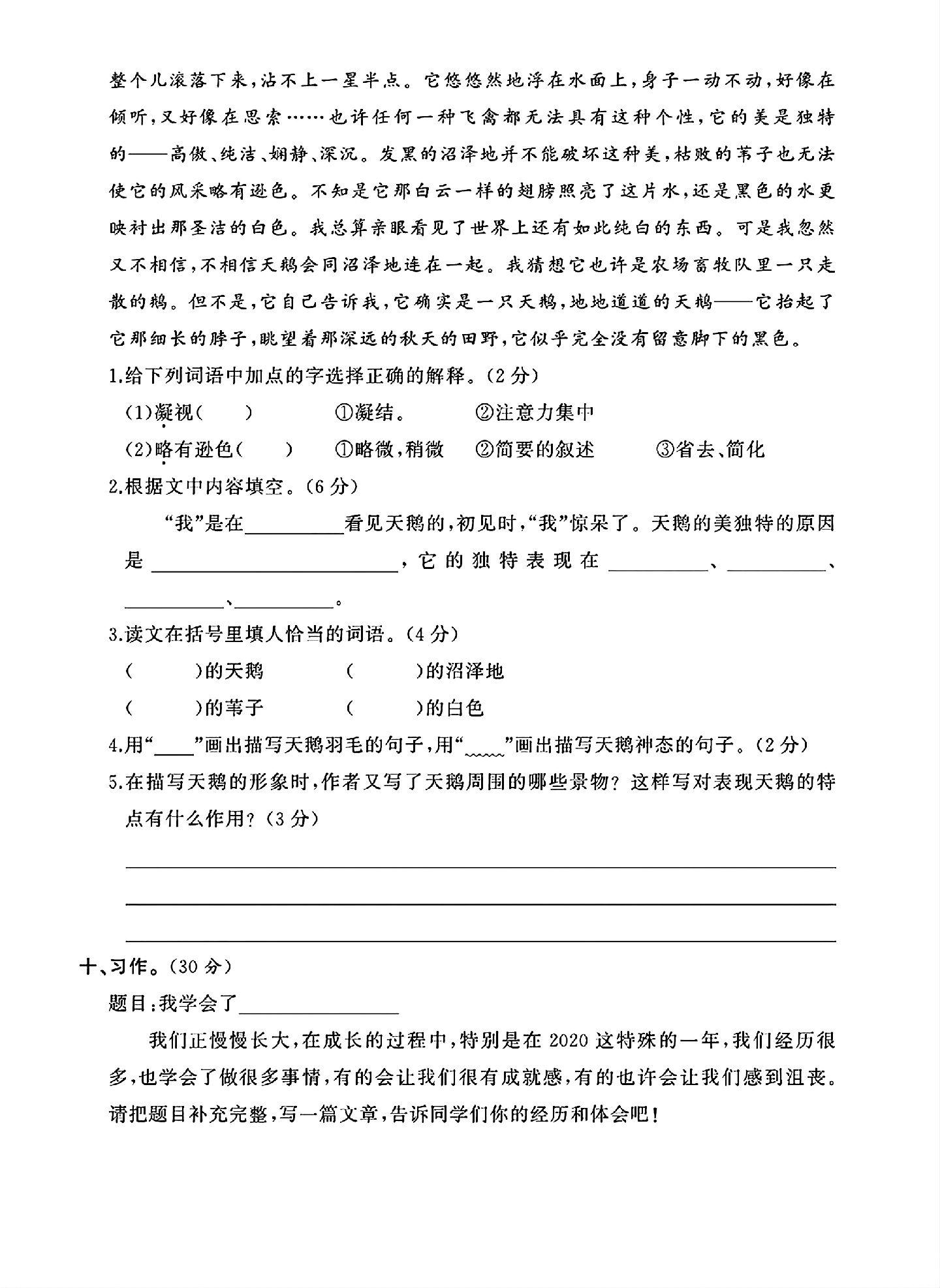 试卷