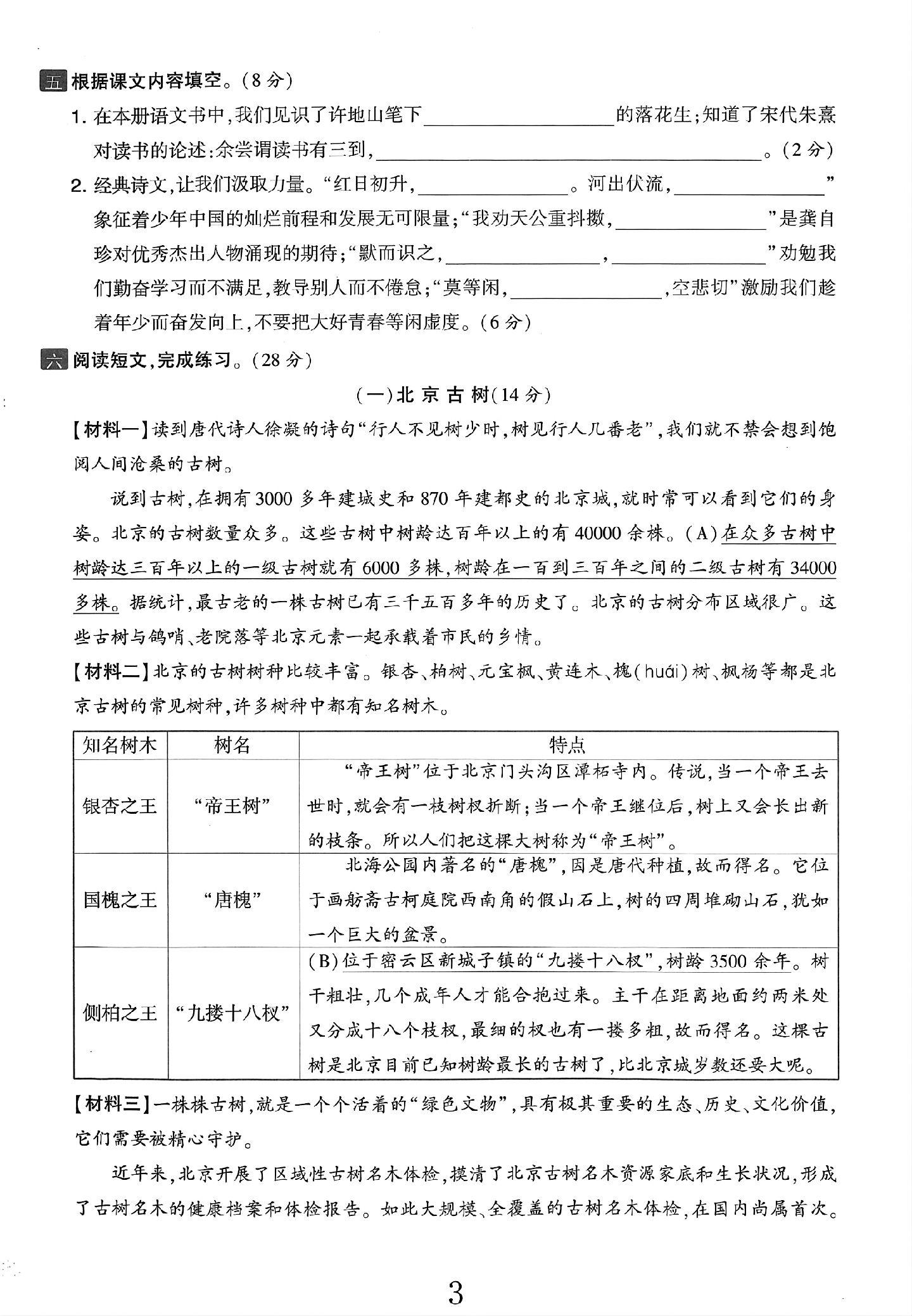 试卷
